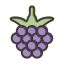 fruta icon