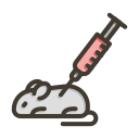 ratón icon