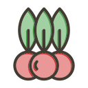 fruta icon