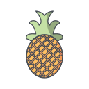 fruta icon