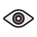 ojo icon