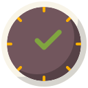 reloj icon