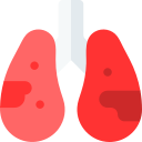 pulmones icon