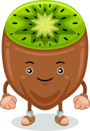 Fruit 