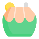 fruta icon