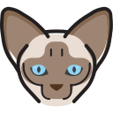 gato icon