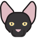 mascota icon