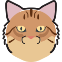 gato icon