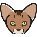 mascota icon