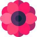 Anemone icon