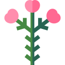 Waxflower icon