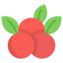 Фрукты icon