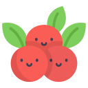Фрукты icon