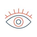 ojo icon