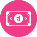 zloty icon