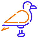 gaviota icon