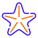 estrella de mar icon