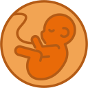 obstetricia icon