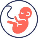 obstetricia icon