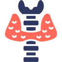 endocrinología icon