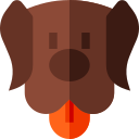 Perro icon