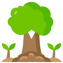 naturaleza icon