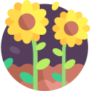 girasol icon