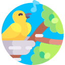 pájaro icon