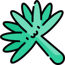 palmera icon