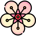 hanami icon