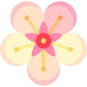 hanami icon