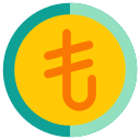 lira turca icon