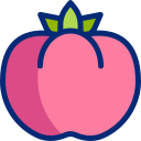 tomate icon