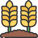 campos icon