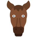 animal icon