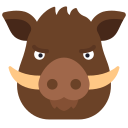 animal icon