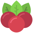 fruta icon