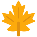 canadá icon