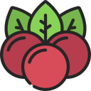 fruta icon