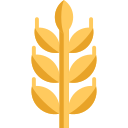 Gluten icon