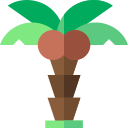 Palmera