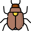 Cucaracha icon