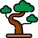 Bonsai icon