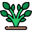 Planta icon