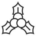 Berry icon
