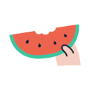 fruta icon