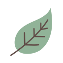 naturaleza icon