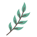 식물 icon