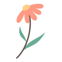 꽃 icon