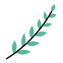 planta icon